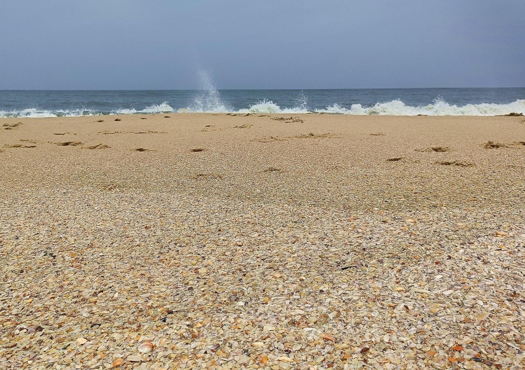 Marari Beach Cleetus Homestay Марарикулам Екстериор снимка